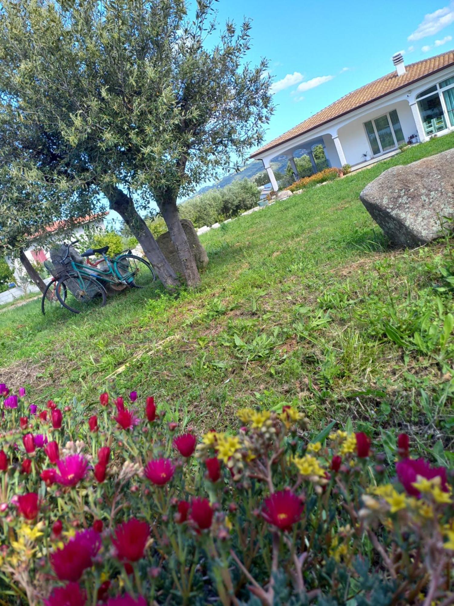 Agriturismo B&B Mares E Montes De Marrante Siniscola Exterior photo